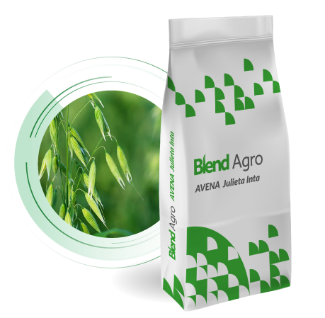 Blend Agro