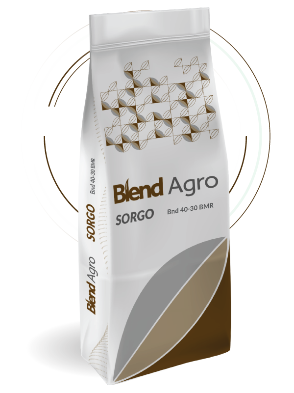Blend Agro