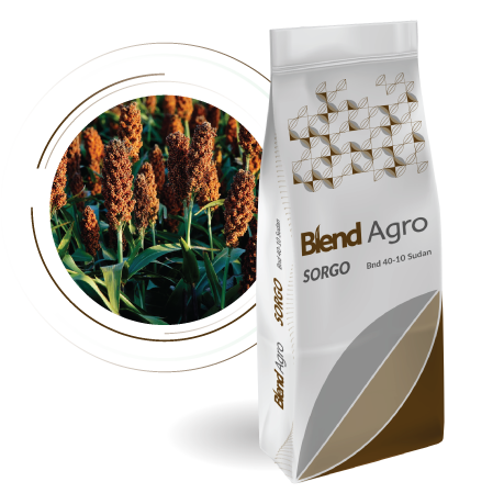Blend Agro