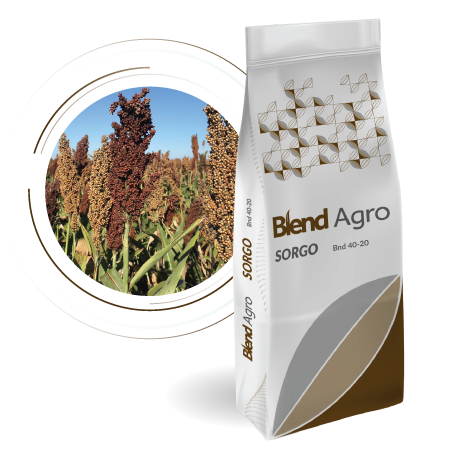 Blend Agro