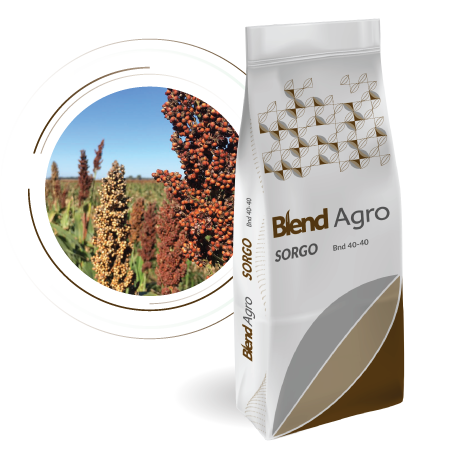 Blend Agro