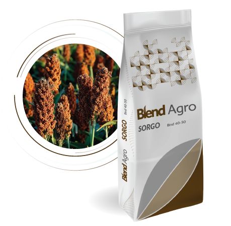 Blend Agro