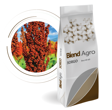Blend Agro
