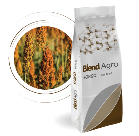 Blend Agro